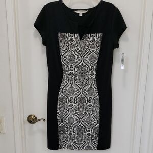 NWT 〰️AA Studio〰️ Velvet Burnout Patterned Dress 14P